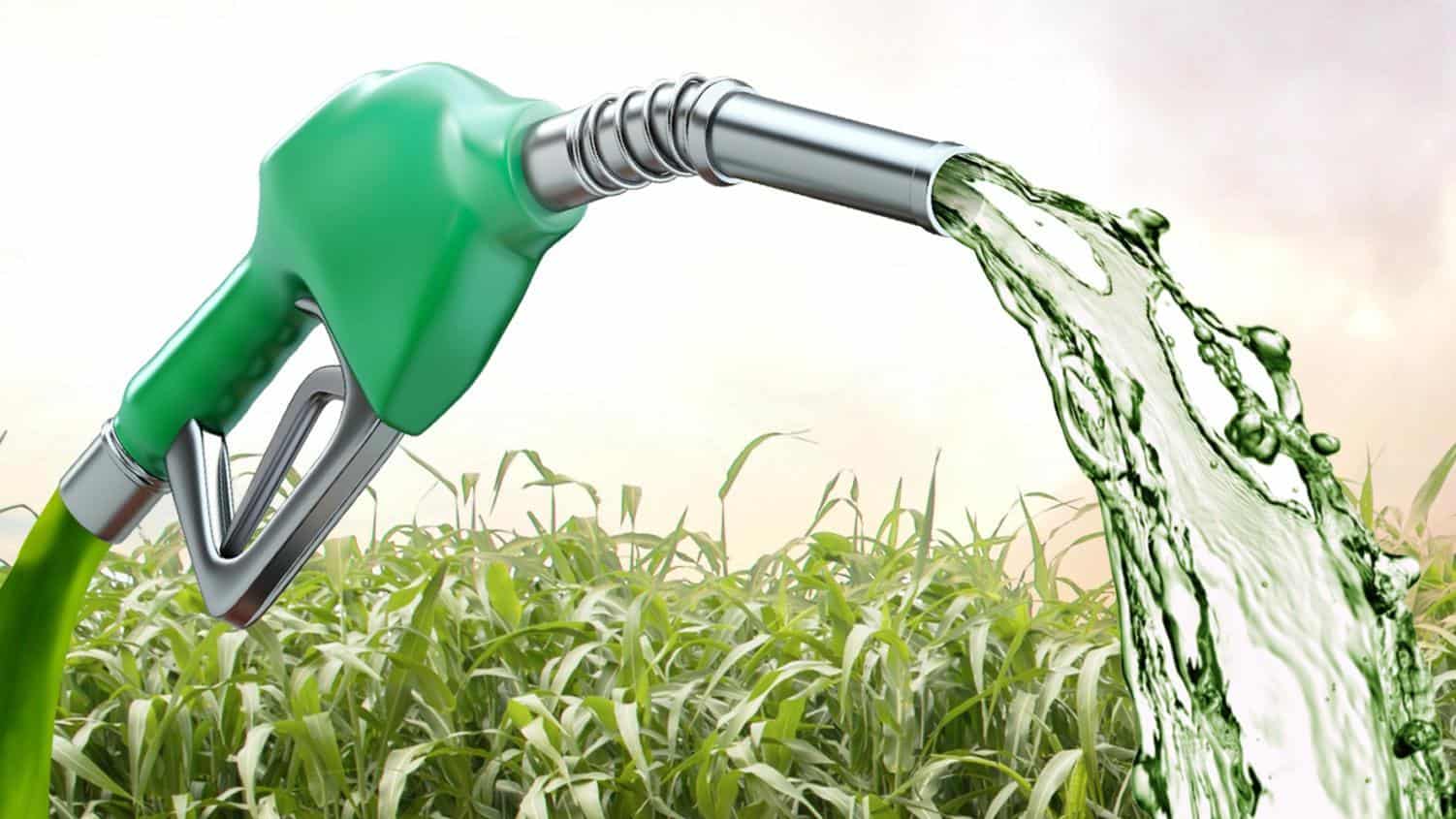 ANP flexibiliza obrigações de aquisição de etanol anidro devido à COVID-19